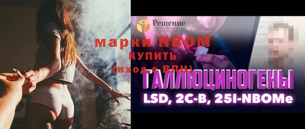 прущие грибы Беломорск