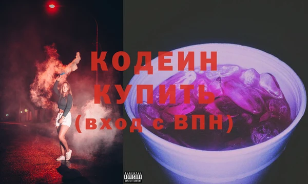 хмурый Белокуриха