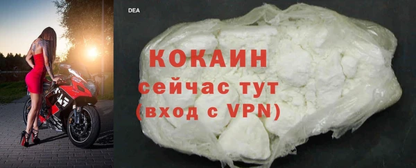 прущие грибы Беломорск