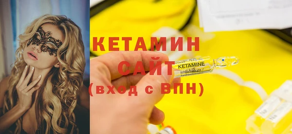 прущие грибы Беломорск