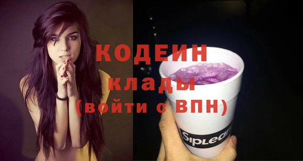 прущие грибы Беломорск