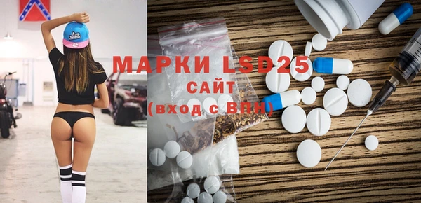 хмурый Белокуриха