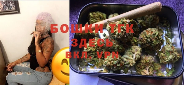 хмурый Белокуриха