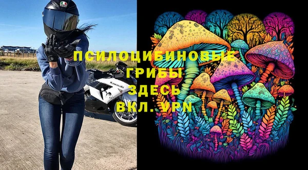 хмурый Белокуриха