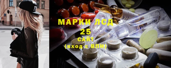 прущие грибы Беломорск