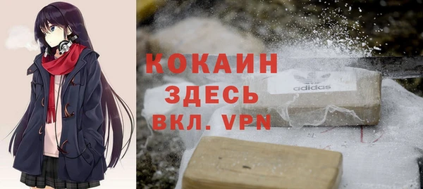 хмурый Белокуриха