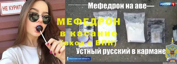 прущие грибы Беломорск