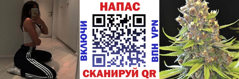 Шишки марихуана SATIVA & INDICA  Сковородино 